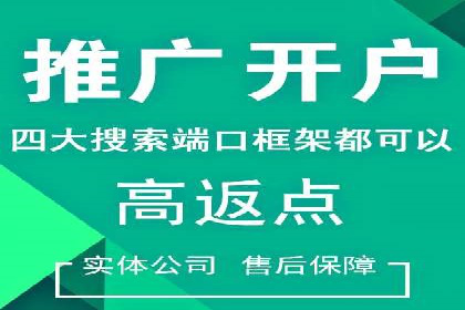 SEM推广代运营：成功案例解析与策略分享
